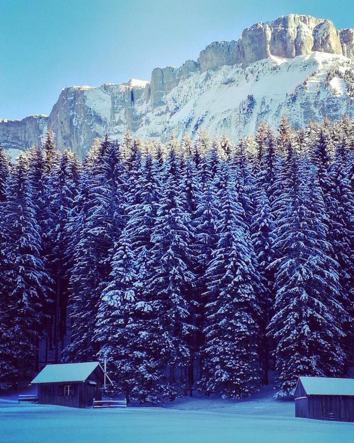 Die Alte Blaa Altaussee Εξωτερικό φωτογραφία
